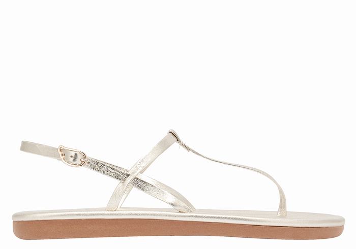 Sandales Bride Arrière Ancient Greek Sandals Lito Flip Flop   | AGD-4596378